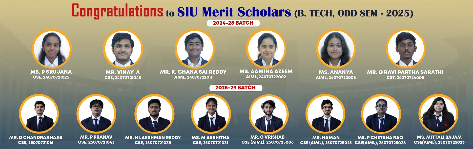 SIU Merit Odd Banner